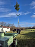 Aufstellung Christbaum 2025