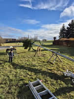 Aufstellung Christbaum 2025